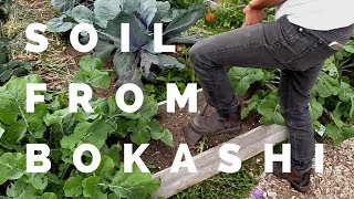 How long before bokashi compost turns to soil [upl. by Leis]