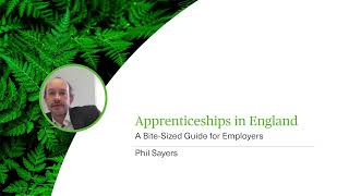 Apprenticeships in England  A BiteSized Guide for Employers  Webinar [upl. by Bobby]