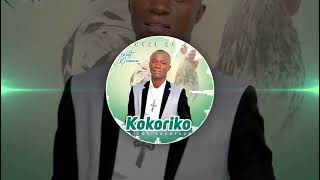 KOKORIKOGbotehi Audio officiel [upl. by Malo]