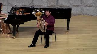 R Vaughan Williams  Concerto for Tuba and Piano [upl. by Inohs]