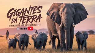 Gigantes da Terra O Majestoso Mundo dos Elefantes [upl. by Assanav]