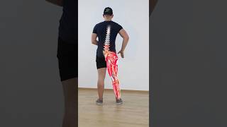 Herniated Disc Rehab backpainrelief thoracicmobility backpainexercises spinemobility painrehab [upl. by Boy]