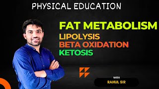 Fat metabolism by Rahul sir  Lipolysis  Beta oxidation  Ketosis  Energy system  Physiology  PE [upl. by Straus]