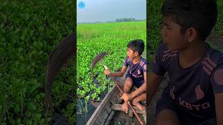 😲 Best Boat Fishing With Kotch 🌻part 145boatfishing viral shorts fish naturalfishingbigfish [upl. by Dreyer]