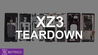 Sony Xperia XZ3 Teardown  XZ3 Disassembly  Screen Disassemble [upl. by Pauletta]