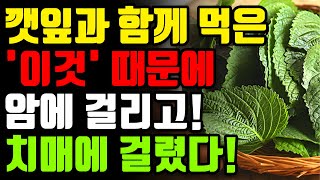 깻잎과 절대로 함께 먹지마세요 신경이 죽고 암과 치매에 걸릴 수 있습니다 깻잎 최악의 궁합 3가지와 만성 염증과 독소 싹 빼주는 최고의 레시피 3가지 효능 부작용 건강 정보 [upl. by Heydon969]