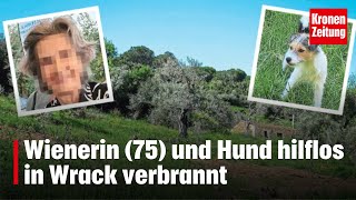 Wienerin 75 und Hund hilflos in Wrack verbrannt  kronetv NEWS [upl. by Leena495]