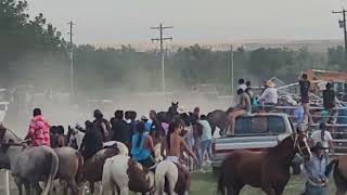 Crow Fair 2023 Indian Relay 3 [upl. by Sasnak]