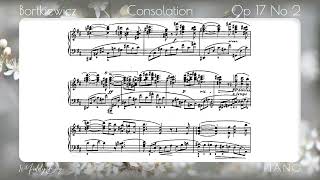 Bortkiewicz Consolation Op 17 No 2 Garritan Yamaha CFX Piano [upl. by Ahseina816]