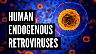 Human Endogenous Retroviruses HERVs [upl. by Dredi728]