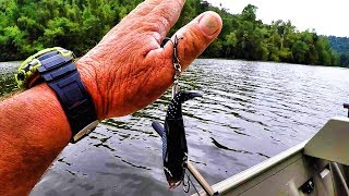 How To Remove A Fish Hook Quick and Easy [upl. by Retsel]