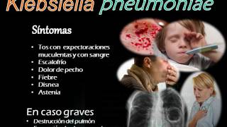 Video Clase Klebsiella [upl. by Winston]