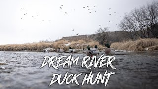 Beau Hunting  Freezing Cold River Duck Hunt quotThousands Of Mallardsquot [upl. by Ylrevaw316]