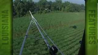 Spraying ripener on sugarcane 2007 [upl. by Gilli]