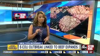 E coli outbreak from tainted ground beef expands to Florida [upl. by Anaizit]