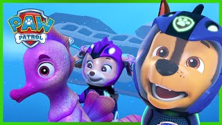 Best Ultimate Rescue Missions and MORE  PAW Patrol  Cartoons for Kids [upl. by Olemrac]