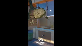 Planet Zoo Short  Axolotl Conservation Center [upl. by Bridwell559]