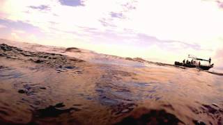 Whale Shark Swim and Ixlaché Reef Snorkeling  Isla Contoy México [upl. by Nehtanhoj]