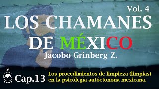 Cap 13 Los procedimientos de limpieza limpias en la PAM  LOS CHAMANES DE MÉXICO Vol 4 [upl. by Eerized614]