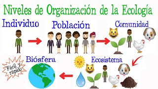 🌎Niveles de Organización de la Ecología🌿 Fácil y Rápido  BIOLOGÍA [upl. by Neelyahs950]