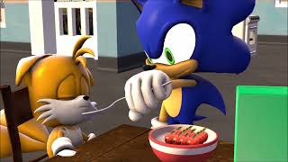 Tails’ First Walmart Trip and Sonic Kills Tails Sonic SFM [upl. by Oloap]