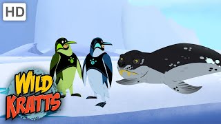 Wild Kratts  AMAZING Penguin Power Suits Animals [upl. by Sid376]