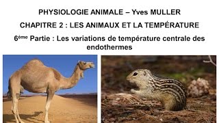 Chapitre 26 Les variations de température centrale des animaux endothermes [upl. by Annovad]