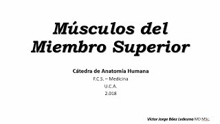 musculos del miembro superior [upl. by Jeni]