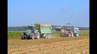 CLAAS jaguar 830 et CLAAS AXION 950 à l ensilage du maïs dans la Meuse [upl. by Refinnaej]