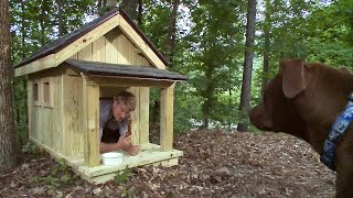 Pete Nelson Builds the Ultimate Dog House  Treehouse Masters [upl. by Lokcin]