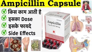 How to cure bacterial infection instantly with ampicillin  Ampicillin capsules lp 500 mg [upl. by Suiravat]