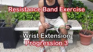 Resistance Band Exercises for Golf Elbow amp Tennis Elbow Tendonitis [upl. by Polard]