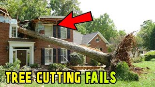 7 EXTREME Dangerous Tree Fails Compilation 202223  Tree Falling in House [upl. by Croft660]