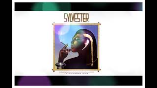 Sylvester  Do You Wanna Funk Re Edit SCCV [upl. by Rudolf590]