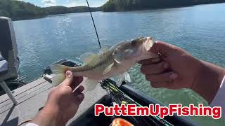 Bass Fishing Philpott Lake Virginia pt 2 [upl. by Orlosky932]