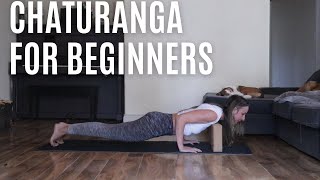 Chaturanga for Beginners Tutorial [upl. by Ainsley]