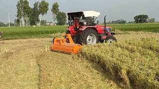 Mulcher  Paddy straw chopper [upl. by Thorfinn]