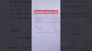 essential amino acidprotien unitimportant topic [upl. by Hadwyn]