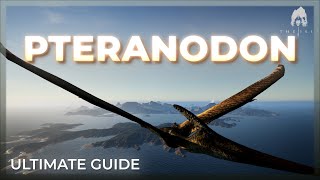 PTERANODON Ultimate Guide  The Isle Evrima [upl. by Luke]