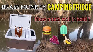 BRASS MONKEY 25 LITRE CAMPING FRIDGE REVIEW  SEPS ADVENTURES [upl. by Bettine]