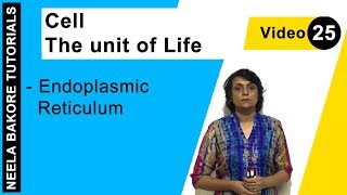 Cell  The unit of Life  NEET  Endoplasmic Reticulum  Neela Bakore Tutorials [upl. by Yrtneg]