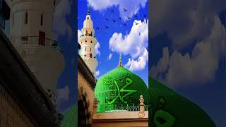 Phool khilte hai pdh pdh kr sallealaislamicvideoyoutubeshortsdeenkiibatenaatshareef [upl. by Attesor]