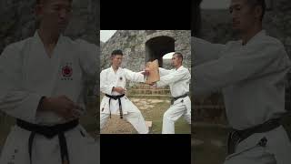 shorts Uechiryu Karate  Sanchin breaking strikes [upl. by Adiaroz]