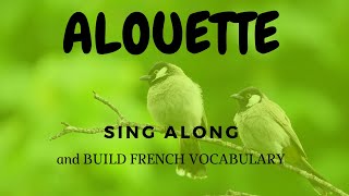 SING ALONG AND LEARN A FRENCH POEM  ALOUETTE GENTILLE ALOUETTE with VOCABULARY [upl. by Yllek929]