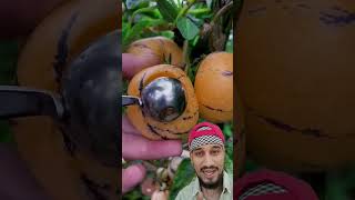 These Fruits tryfruit naturallifeb satisfying naturalclips naturelife fruitcutting shortsfeed [upl. by Horbal]