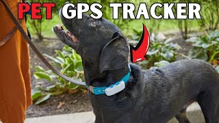 Gps Pet Tracker  Best Gps Pet Tracker for Dogs and Cats [upl. by Abbotson]