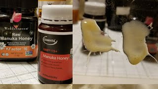 Manuka Honey Compared UMF15 VS Kfactor16 [upl. by Deuno]