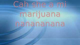 vybz kartelmarie lyrics bomb drop riddim [upl. by Elleinnad398]