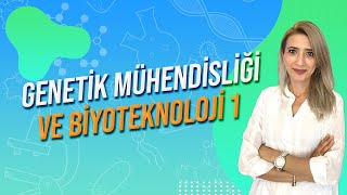 GENETİK MÜHENDİSLİĞİ VE BİYOTEKNOLOJİ1  Seda Hoca Biyoloji 🧬 [upl. by Radford432]