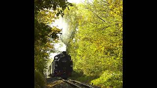 Lößnitzgrundbahn  der Dampfzug zum Fischzug [upl. by Annert]